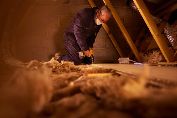 Best Spray Foam Insulation  in Pecan Acres, TX